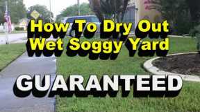Wet Soggy Yard?