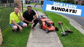 Giving Random People Money, JUST for having a SICK LAWN! It's Sick Lawn Sundays Episode 1
