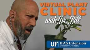 The Virtual Plant Clinic With Dr. Bill January 11, 2024