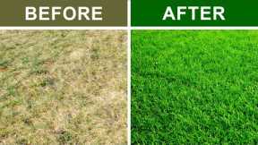9 Secrets To Keep Your Lawn Green and Healthy