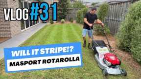 #VLOG 32 Will the Masport Rotarolla Stripe Up My Sad Looking Lawn?