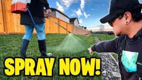 Spray Now Play Later! Pre Spring liquid fertilizer ~ End of winter lawn care plan & essentials