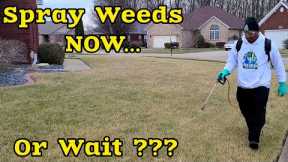 When to start SPRAYING Weeds in the SPRING