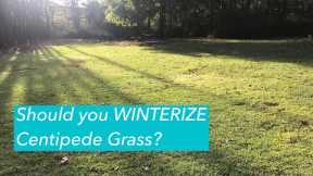 FERTILIZE Centipede Grass in Fall? | Prevent Centipede Decline | WINTERIZER