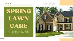 The Ultimate Guide to Spring Lawn Care
