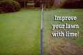 Applying Lime Treatments to your Lawn 