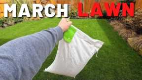 March Lawn Care Tips - Time for Grass Seed?