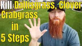 Kill Crabgrass, Dallisgrass, Clover in 5 Easy Steps. Oxalis, morning glory and Crabgrass Killer.