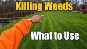 How to Kill Weeds in Spring Lawn