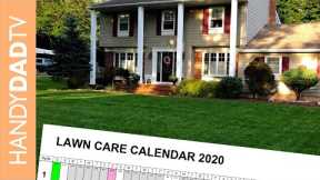 Easy Lawn Care Program (Beginner and Advanced) // Updated for 2020
