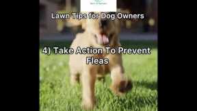 Lawn Tips For Dog Owners | Steve And Steven’s Lawn Care #florida #lawncare #landscaping
