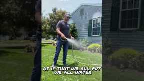 Do You Fertilizer Weekly? Do You Water Your Lawn Daily? #lawncaretips #lawncare #waterthelawn