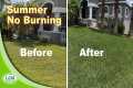 How To Get A Green Lawn In Summer