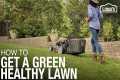 Lawn Care 101: How to Weed, Seed,
