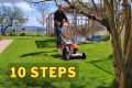All 10 Spring Lawn Care Steps // In