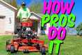 How To Do A Professional Lawn Care
