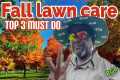 Fall Lawn care for all lawns only 3