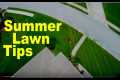 Summer Lawn Care Tips - North and