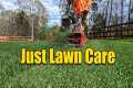 Spring Lawn Care - Cut Weeds Feed -