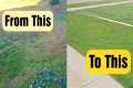 How Fast Does It Take To Fix A Lawn - 
