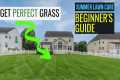 3 EASY STEPS: Summer LAWN CARE for