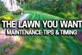 My Lawn Care Schedule - What I do,