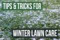 How to Do Winter Lawn Maintenance