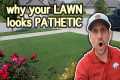 Beginner Lawn Care Tips // How To