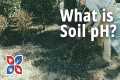 What is Soil pH? | Lawn Care
