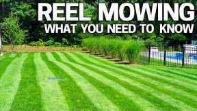 REEL Mowing Right for YOU? Mowing Low / Cylinder Lawn Mowing - How to Get Started