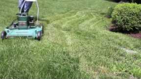Cut Grass with Vintage Goodall Lawn Mower
