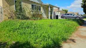 Homeowner Cannot BELIEVE I Told Her THIS About Her OVERGROWN Yard