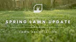EASY LAWN CARE | Spring 2024 update | Lawn Association