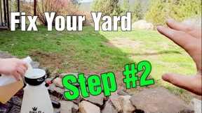 Kill Early Spring Weeds - Step 2 // How To Take Care Of A Lawn