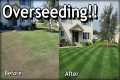 How To OVERSEED Your Lawn in SPRING