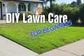 8 Beginner Friendly Lawn Care Tips