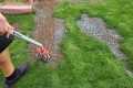 Reseeding Some Bare Spots. - DIY Lawn 
