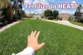 Can Your Fertilize The Lawn in Summer 