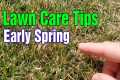 Early Spring Lawn Tips: What To Do