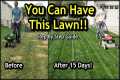 Fix an Ugly Lawn with Overseeding //