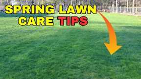 Essential Steps for a Perfect Spring Lawn