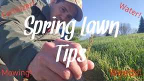 Spring Lawn Care Tips For Beginners