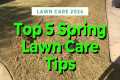 Spring Lawn Care Tips For Bermuda