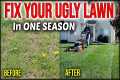 Fix An Ugly Lawn In ONE SEASON