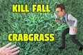 Kill Fall Crabgrass - Lawn Care