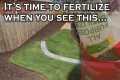 How to easily know when to fertilize