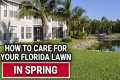 How To Care For Your Florida Lawn In
