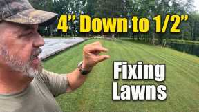 Fixing Lawn Problems After a Month Away