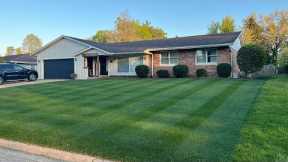 Introduction to Cool Season Lawns // Cool Season Lawn Guide