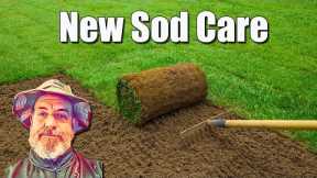 New Sod Lawn Care